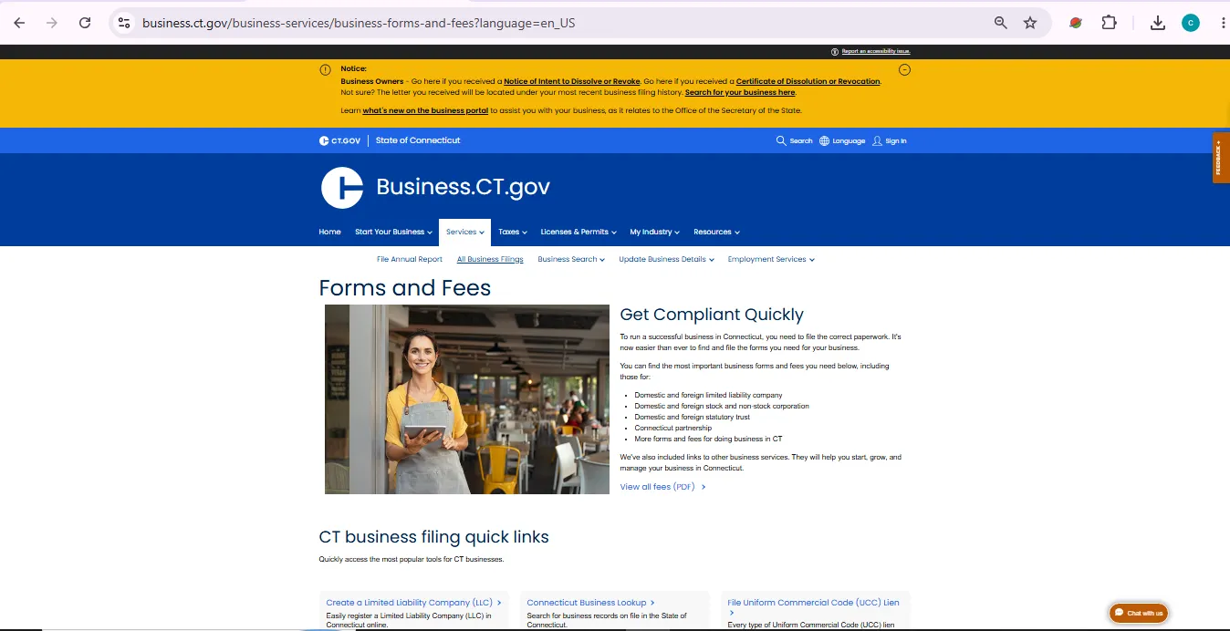 Connecticut business entity search page showing official Business Records Search lookup